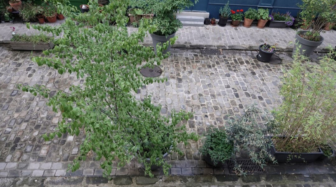 Homestay Paris 486715