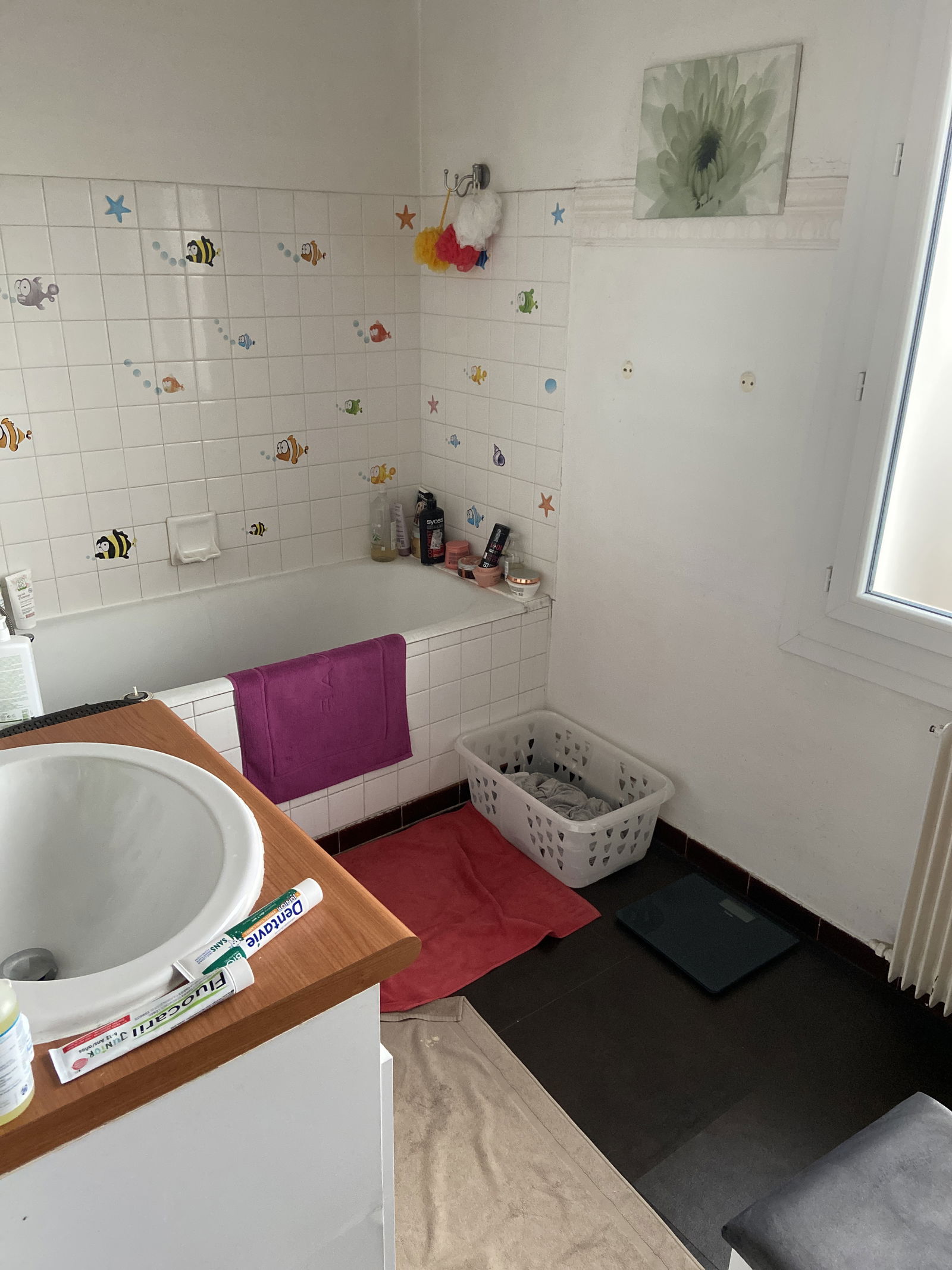 Homestay Mérignac 245728