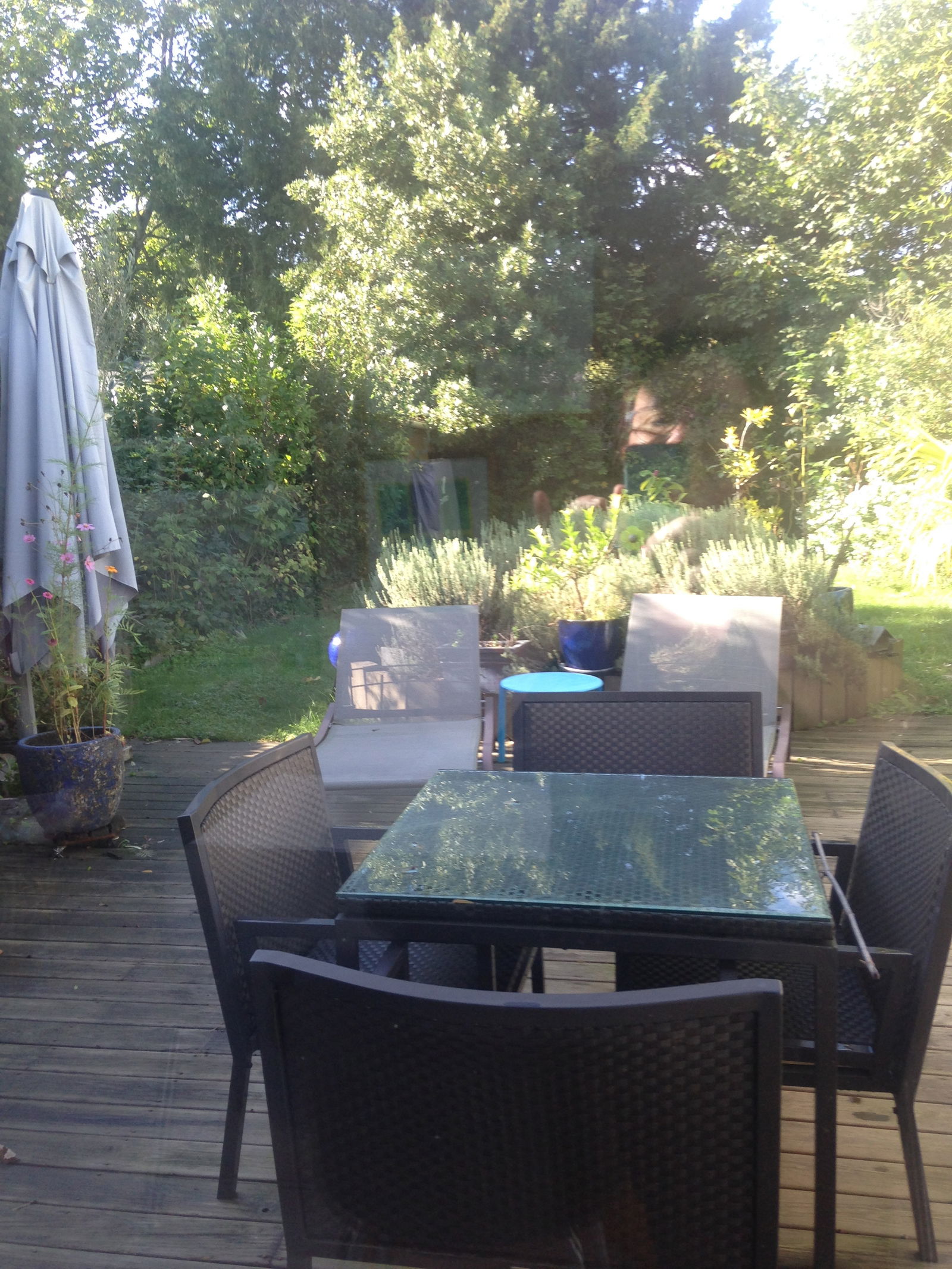 Homestay Nantes 250963