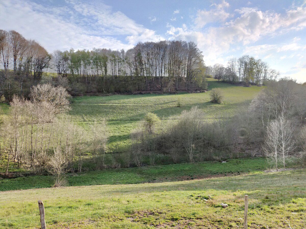 Colocation La Chapelle-aux-Bois 472087