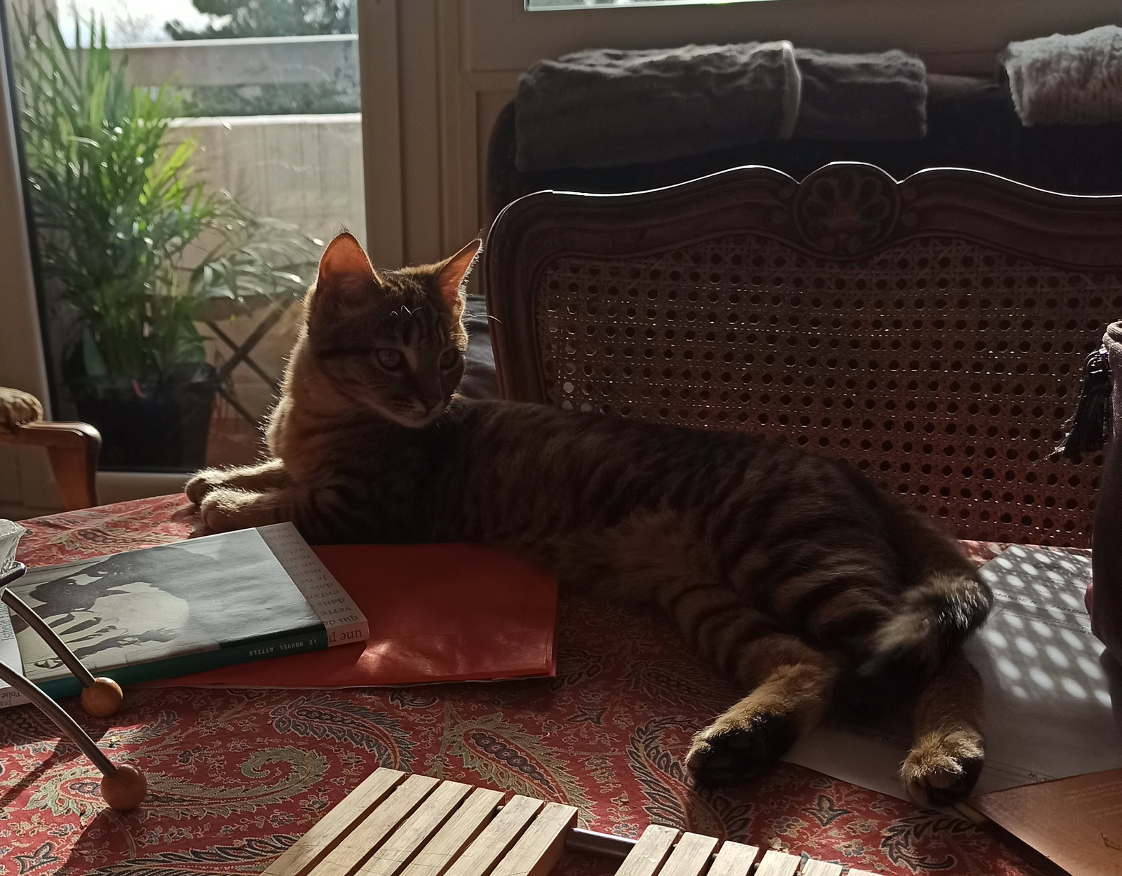 Homestay Rillieux-la-Pape 11532