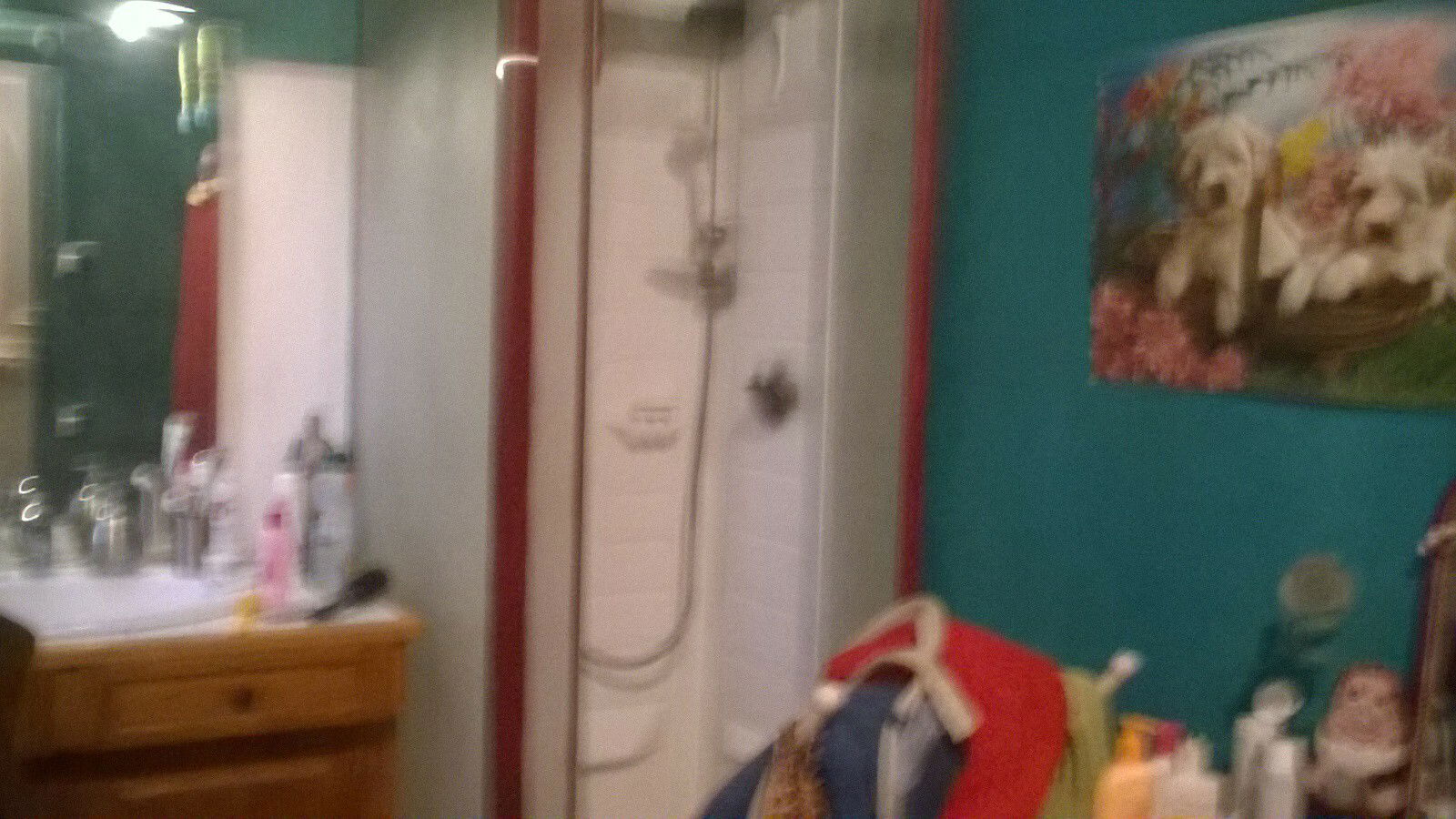 Homestay Arles 142065