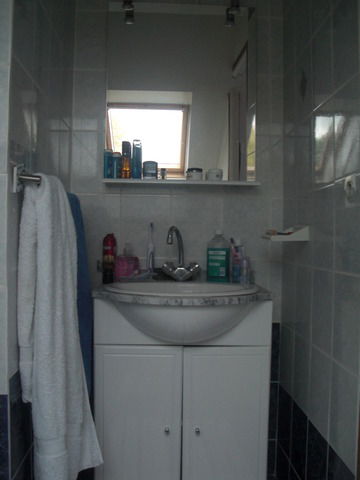 Homestay Guyancourt 19254