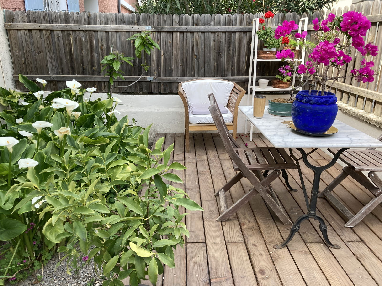 Homestay Avignon 231811