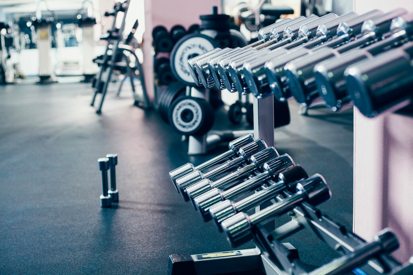 Homestay New York 189551