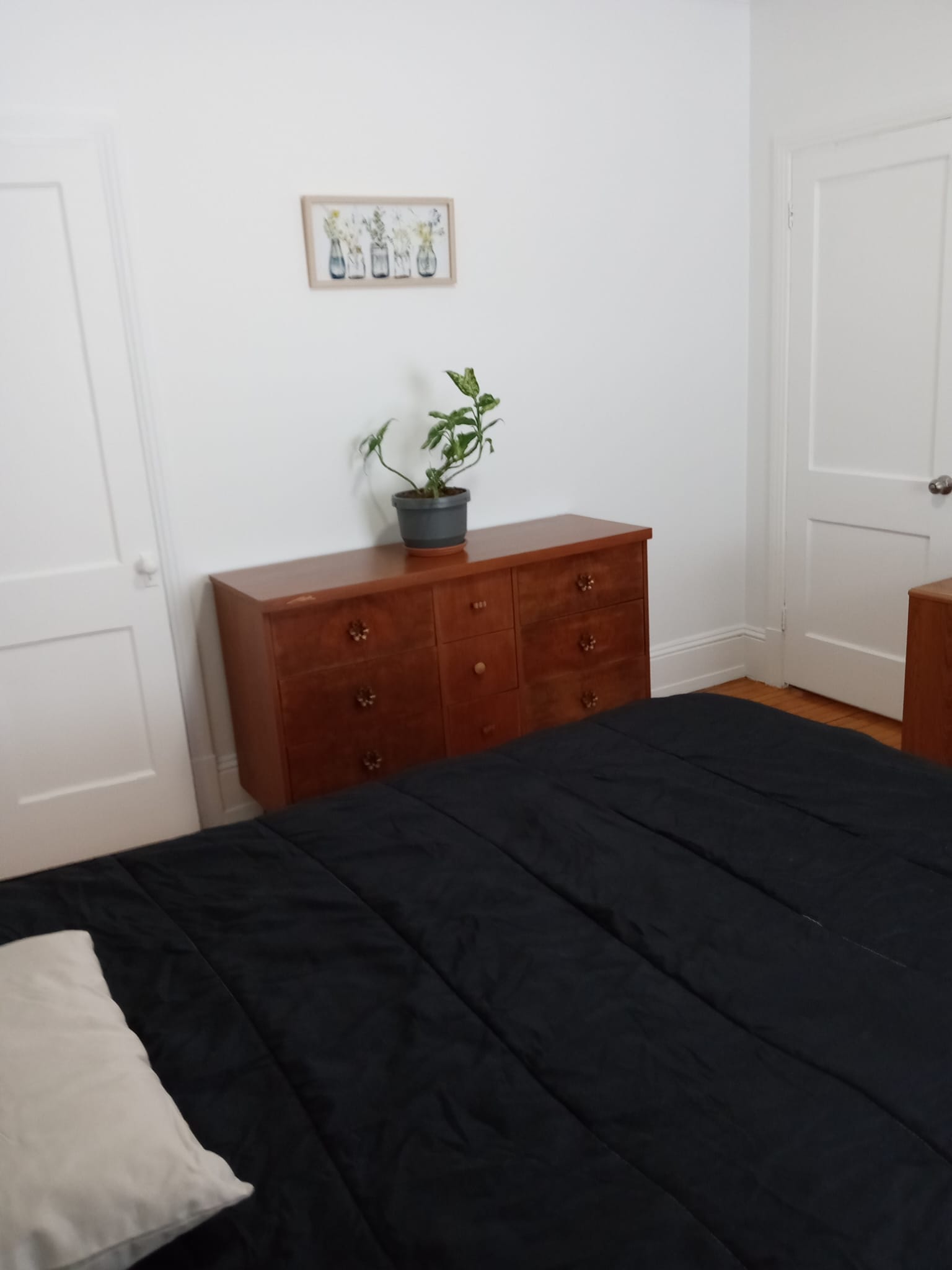 Colocation Sherbrooke 458472