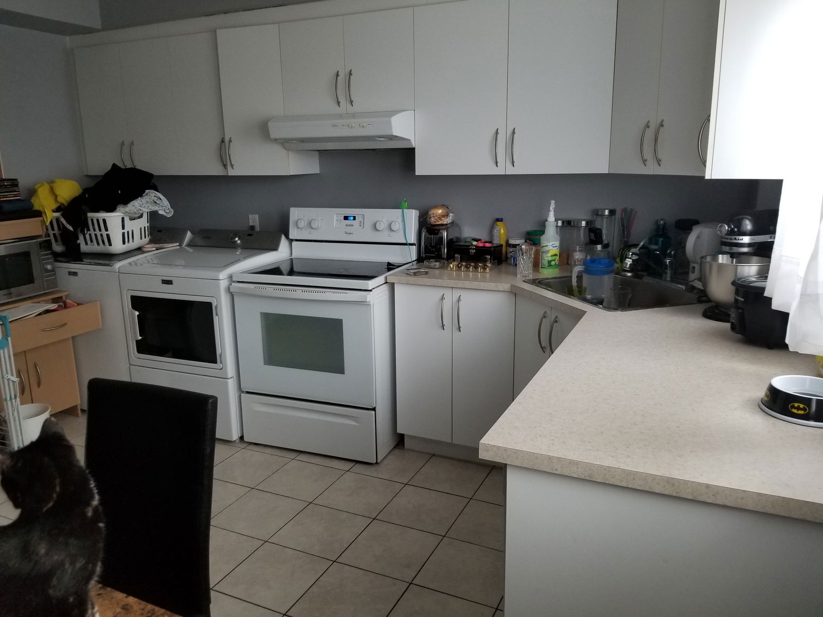 Homestay Montréal 244861