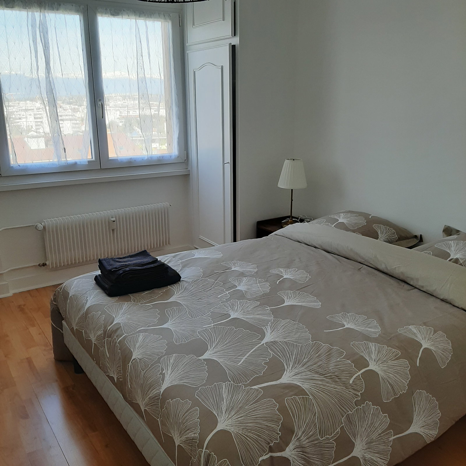 Colocation Annemasse 412936