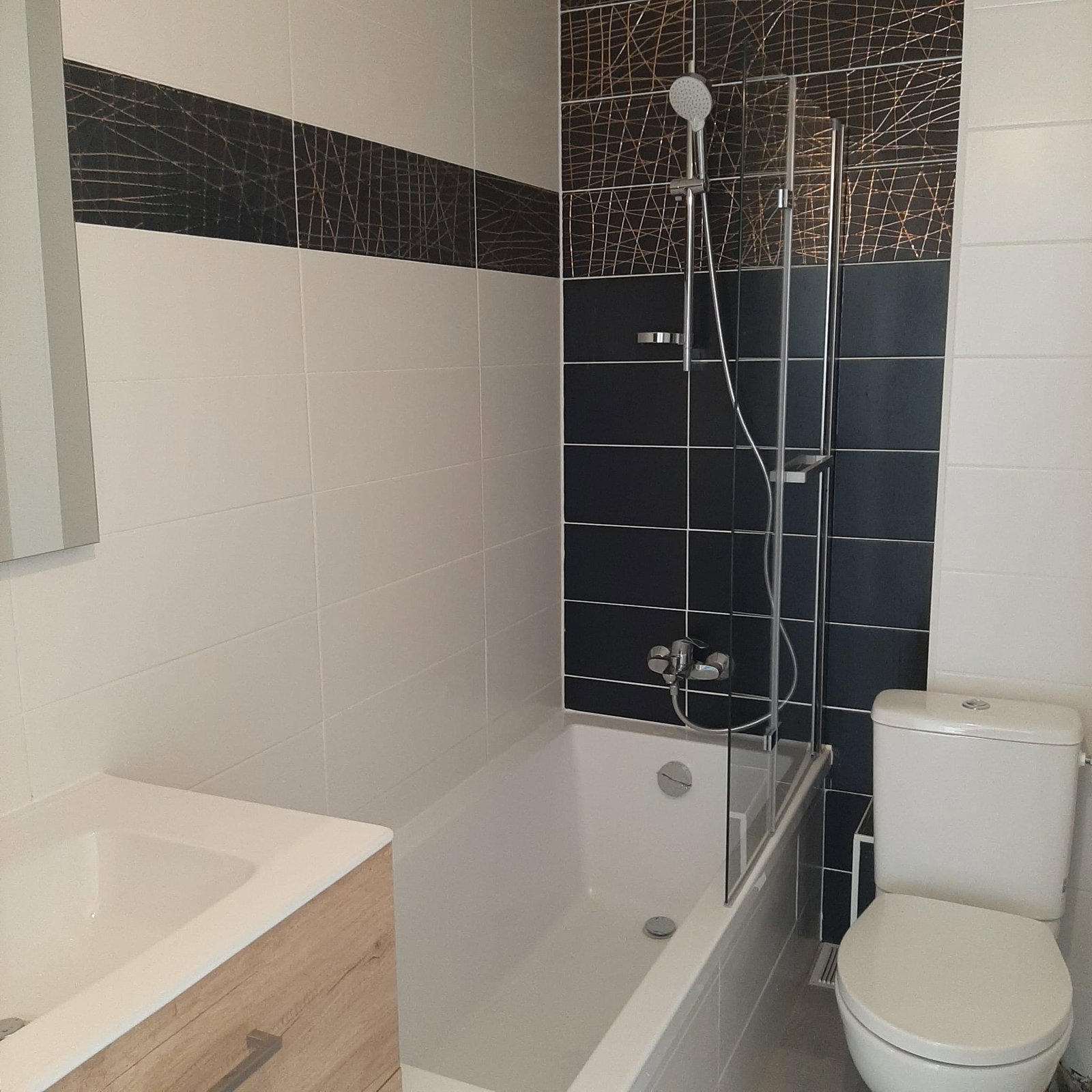 Colocation Annemasse 412936