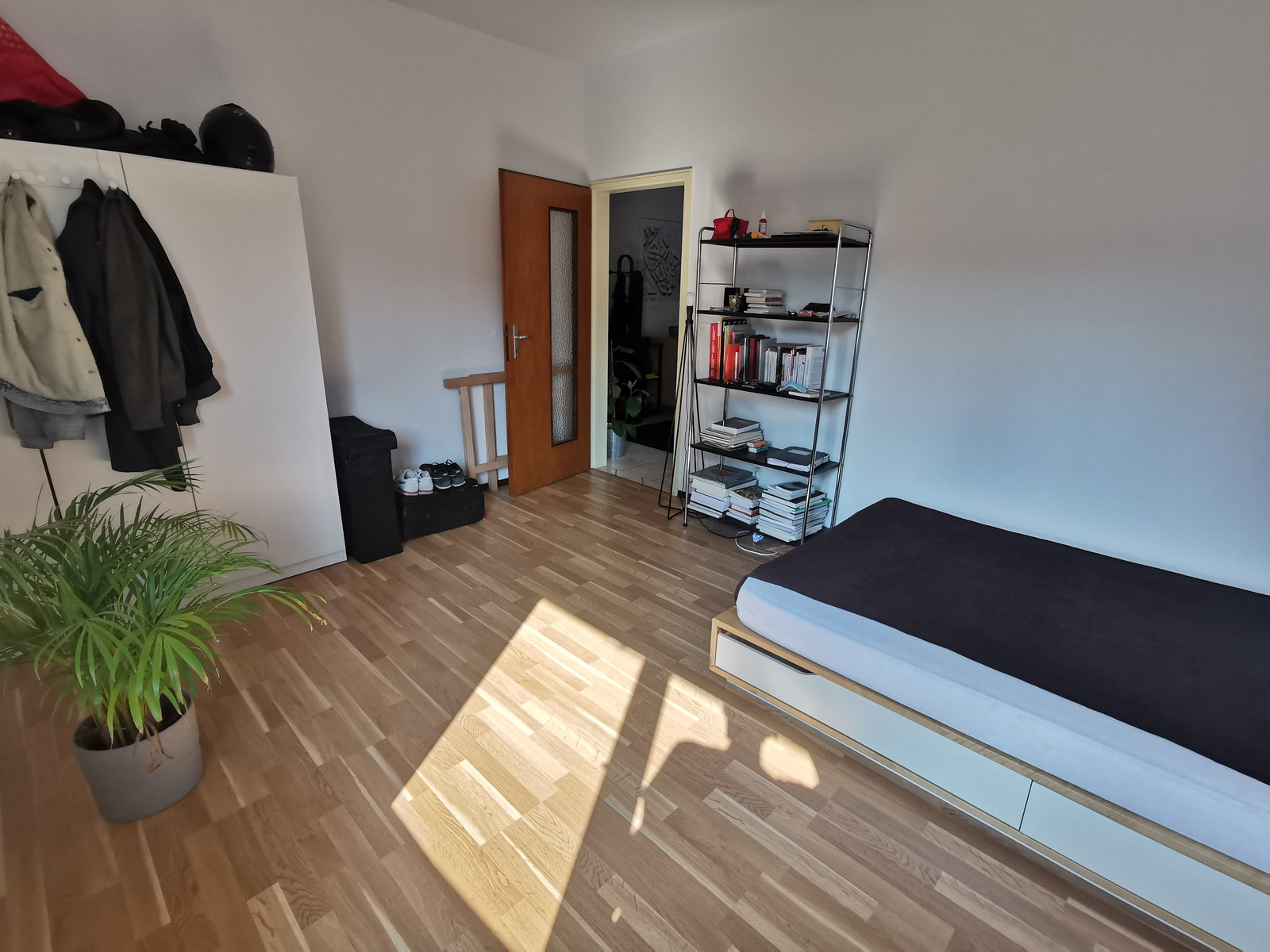 Kolokation Mendrisio 263740