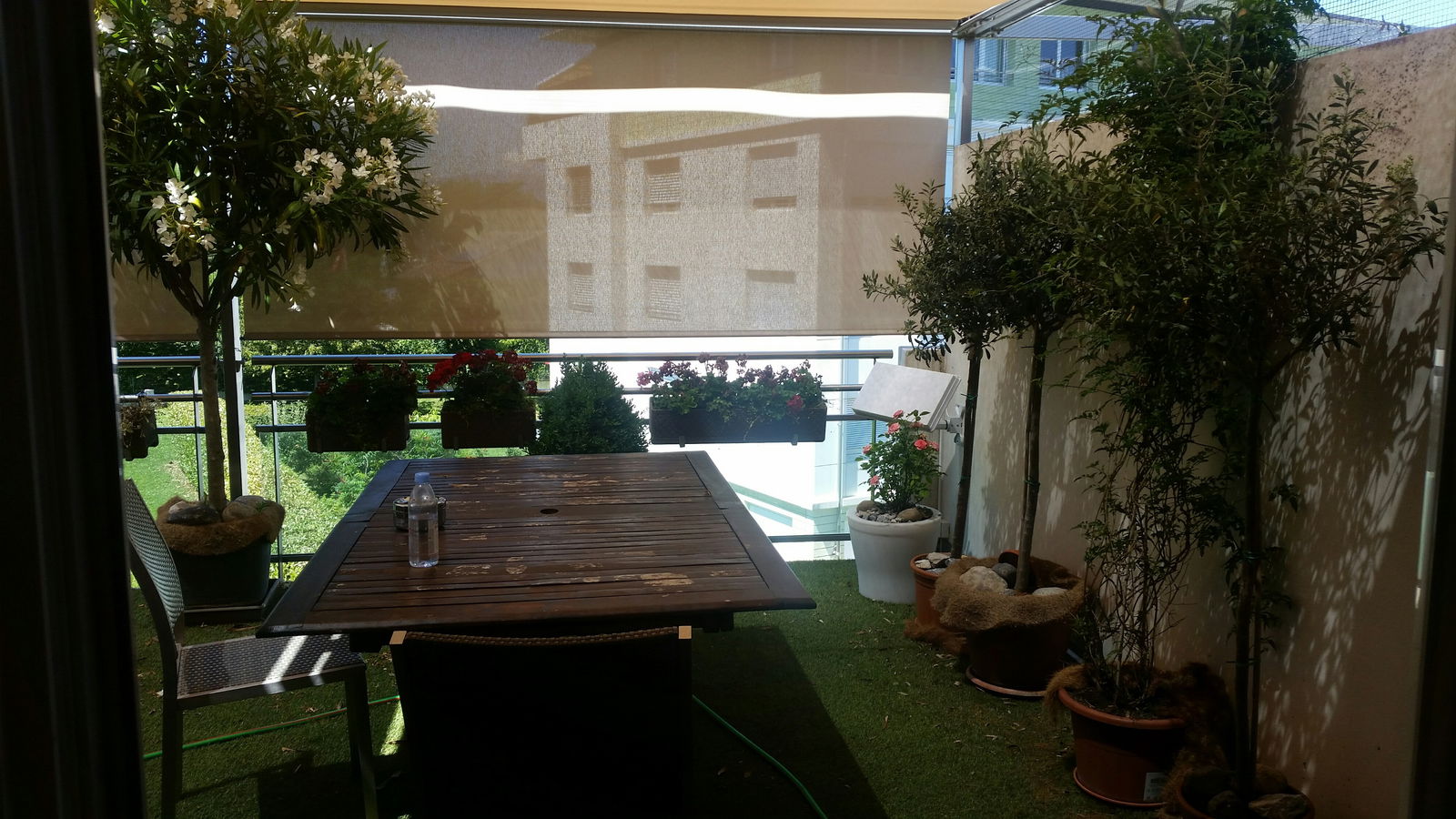 Gastfamilie Plan-les-Ouates 153021