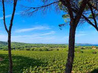 Homestay Ramatuelle 669130-1