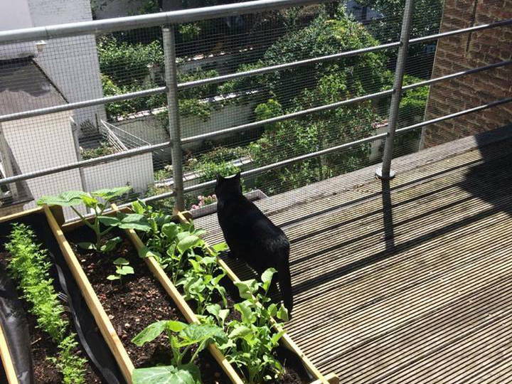 Kolokacja Uccle 157308-4