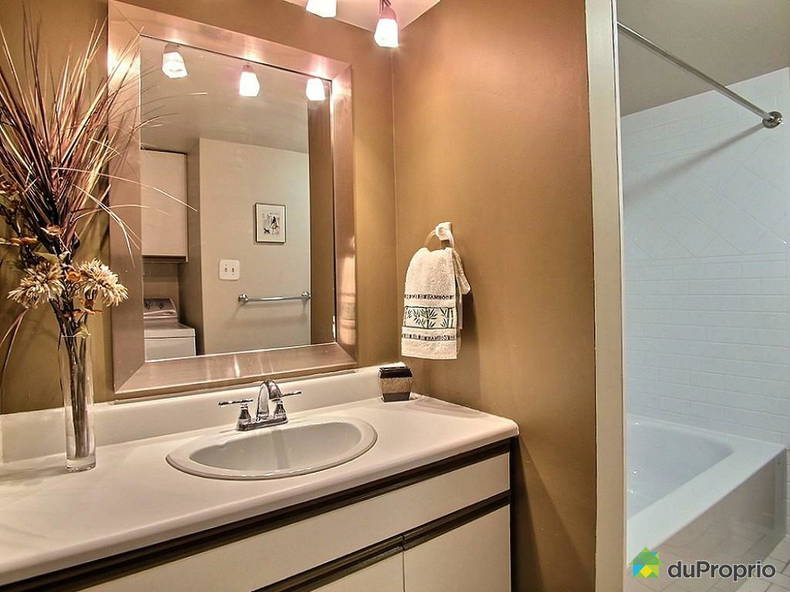 Colocation Sherbrooke 117517-2