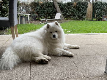 Shared Accommodation Toulouse 662381-3