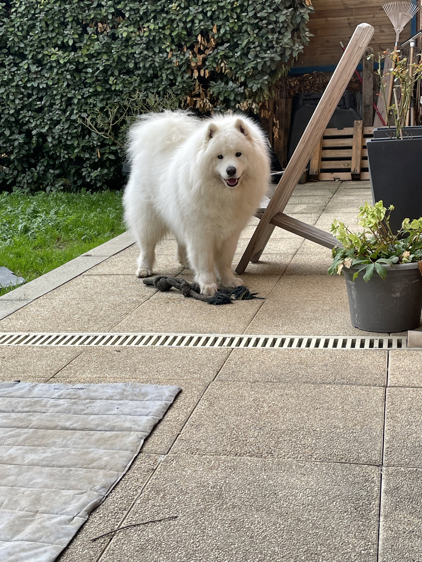 Colocation Toulouse 662381