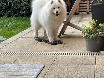 Shared Accommodation Toulouse 662381-6