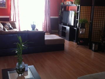 Colocation Trois-Rivières 44874-2