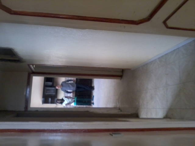 Kolokation Casablanca 54983-1