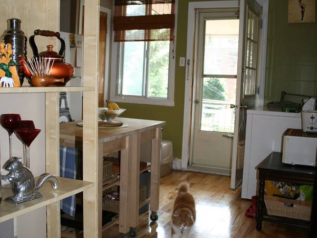 Colocation Montréal 72176-4