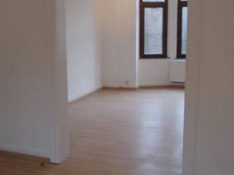 Colocación Forest 106265-1