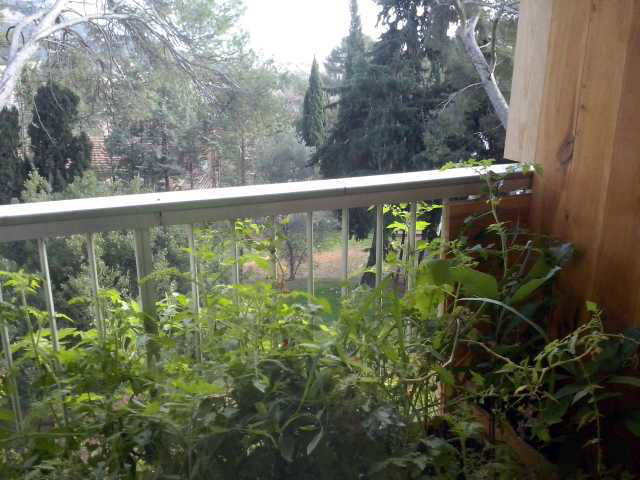 Colocation Toulon 123357-4