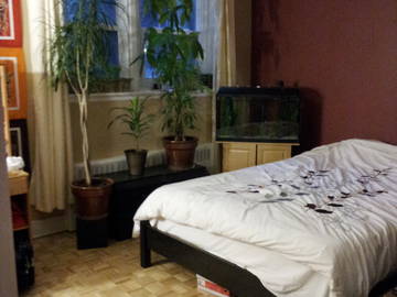 Room For Rent Québec 106724