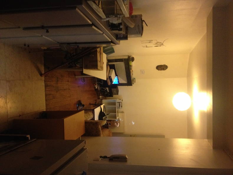 Kolokasie Toulouse 119990-1