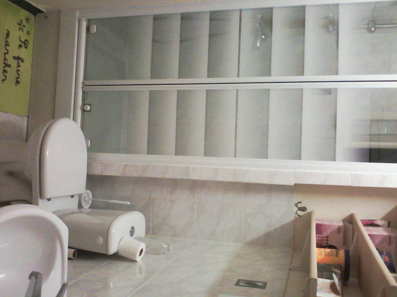 Kolokasie Paris 70533-3