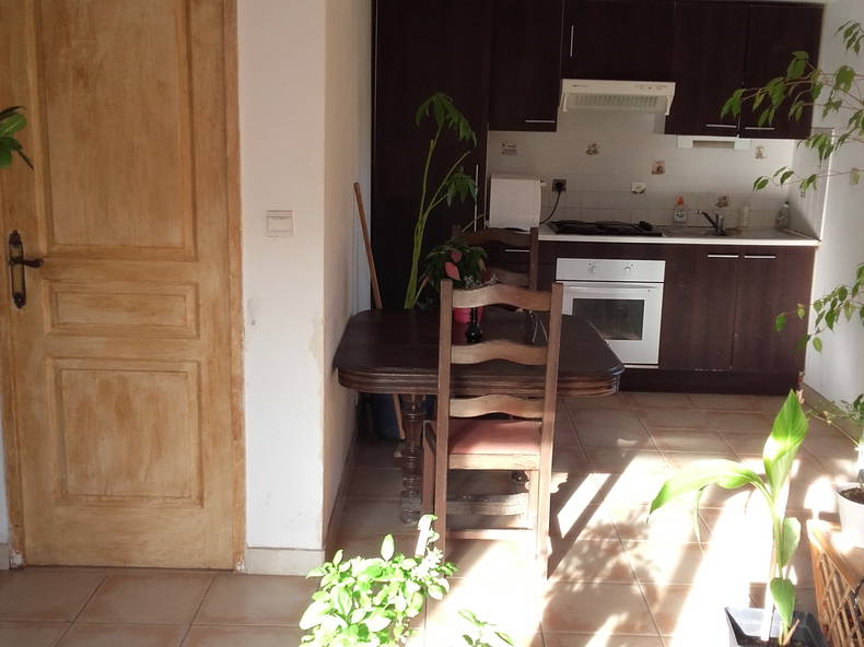 Kolokasie Hérépian 131953-2