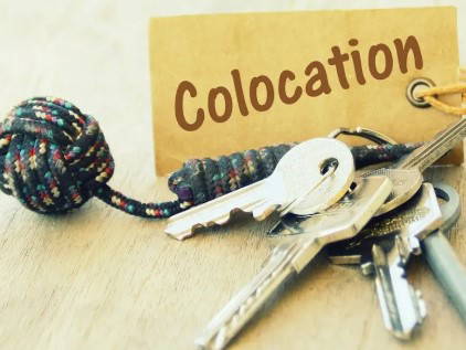 Kolokacja Chambly 486128-1