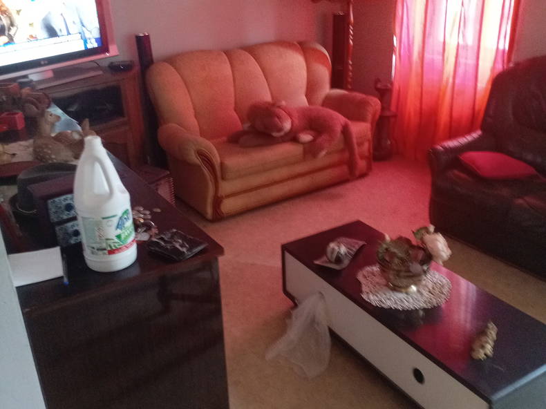 Gastfamilie Saint-Jean-d'Angély 543365-3