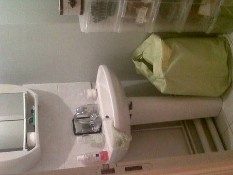 Colocation Rouen 20208-1