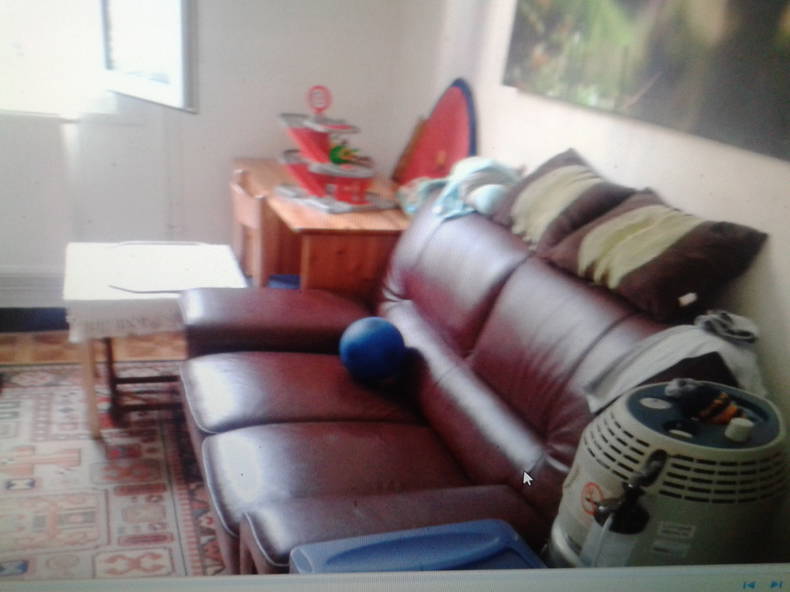 Colocatie Lille 99834-2