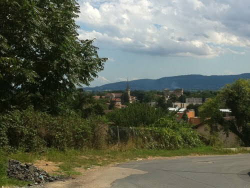 Kolokasie Lachassagne 71265-3