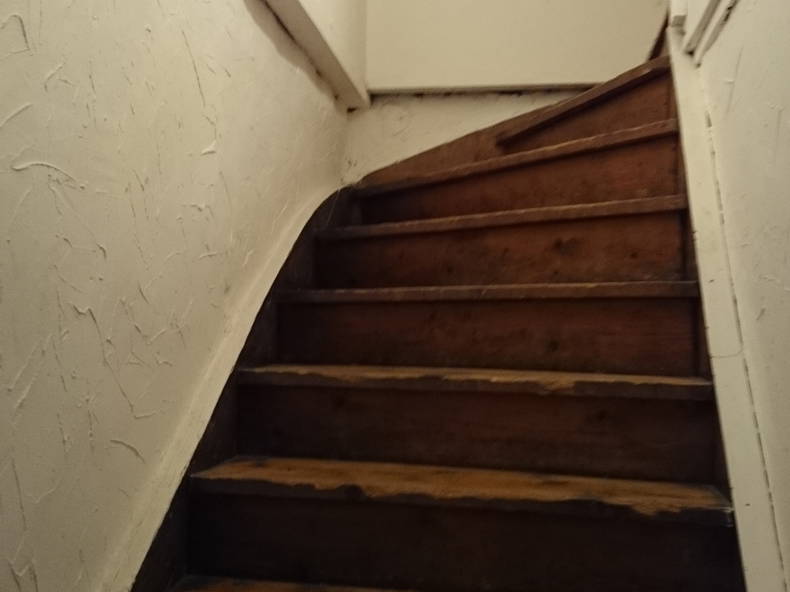 Kolokasie Lachassagne 71265-4