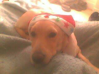 Colocation Lapalisse 64936-1