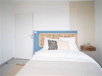 Chambre À Louer Villeurbanne 265622