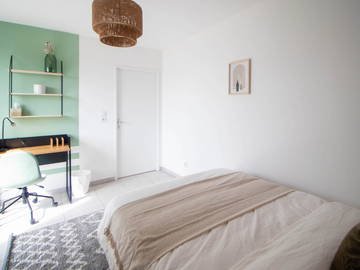 Chambre À Louer Villeurbanne 265570