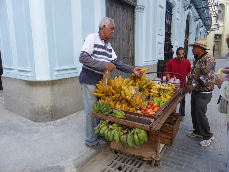 Alojamento Inteiro La Habana 676241