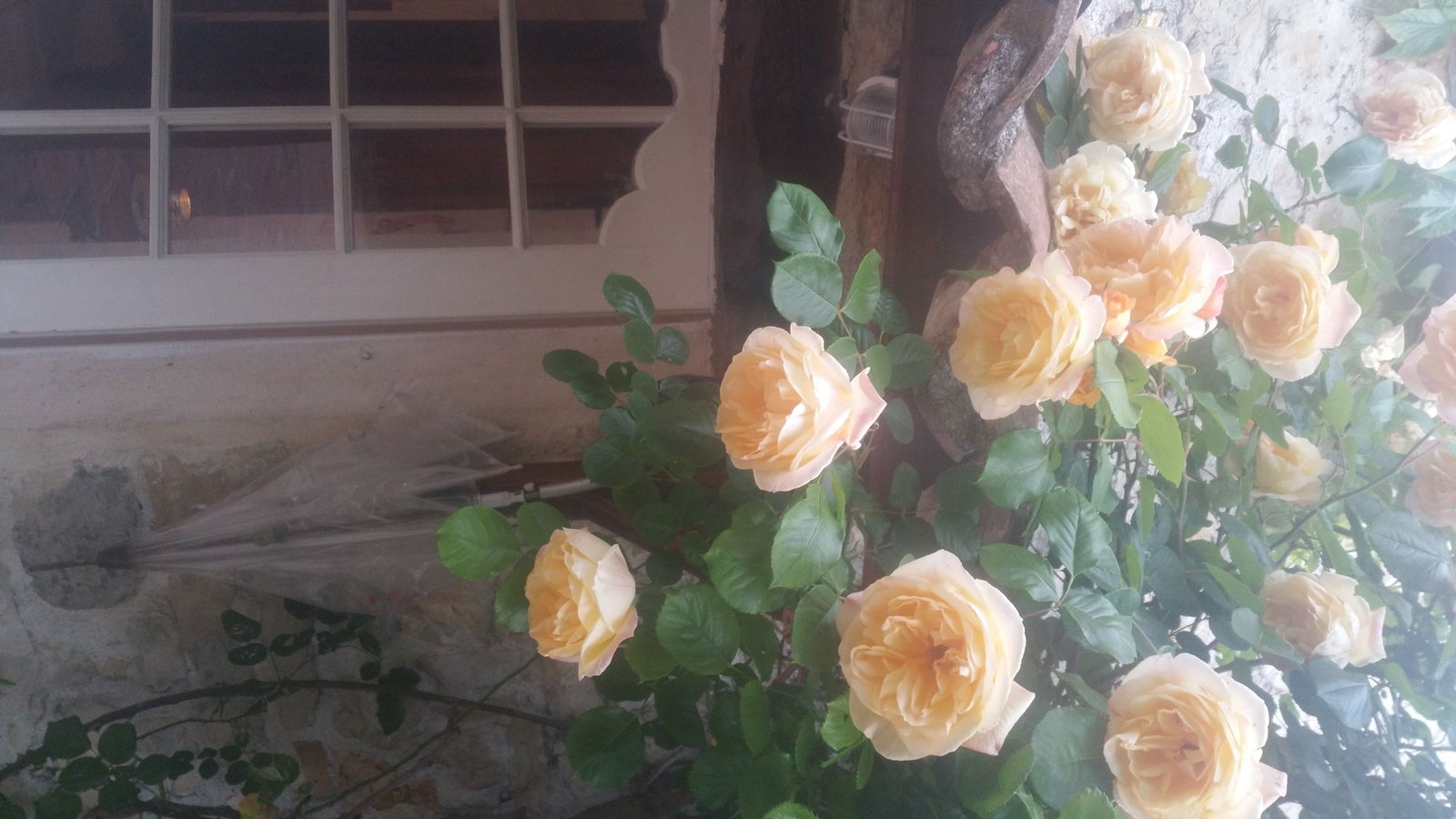 Hospedagem Em Casa De Família Cantaron 143695