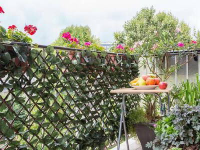 Gastfamilie Asnières-sur-Seine 138636-1