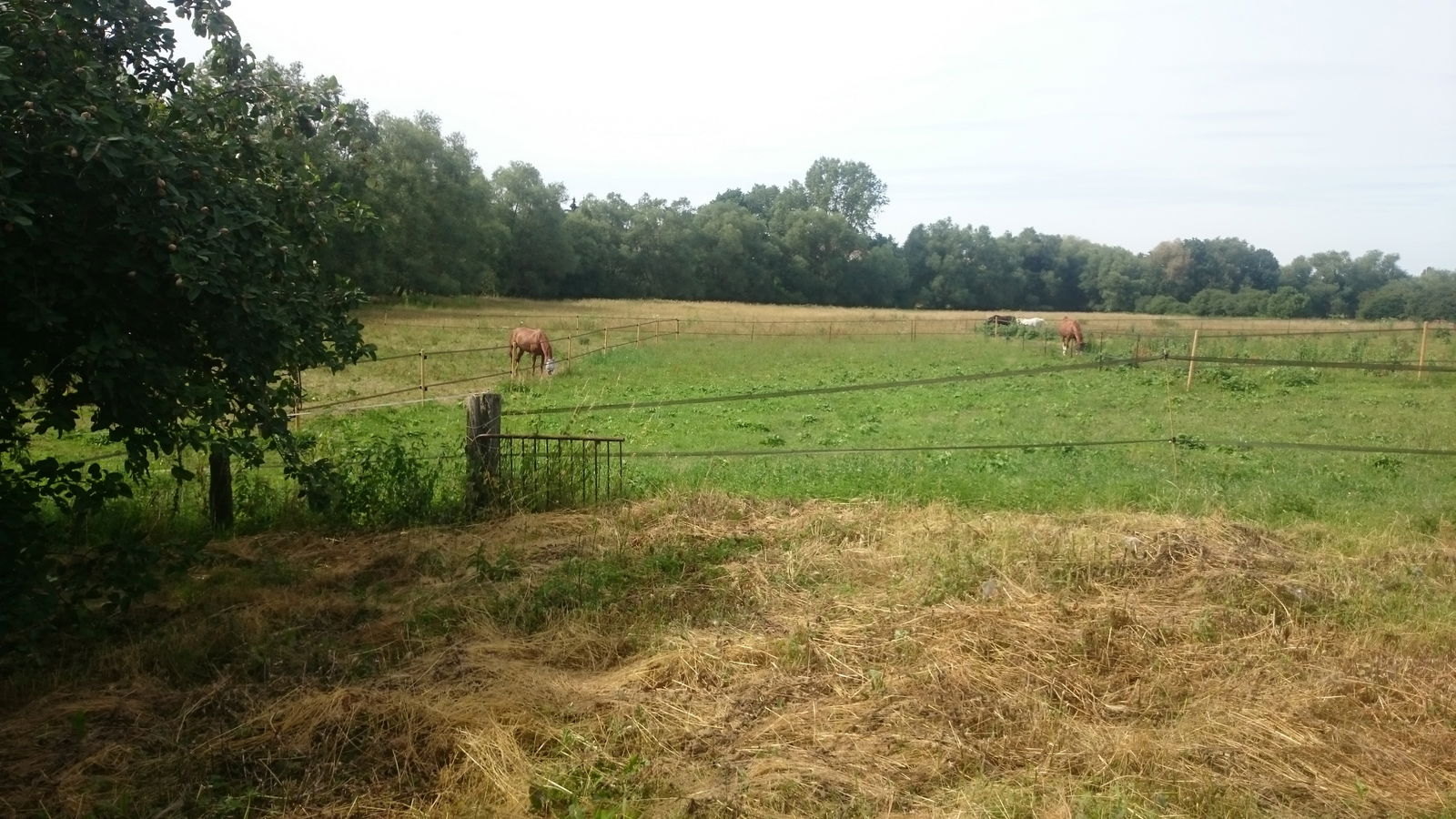 Onafhanklike Ateljee Ville-sur-Yron 206741