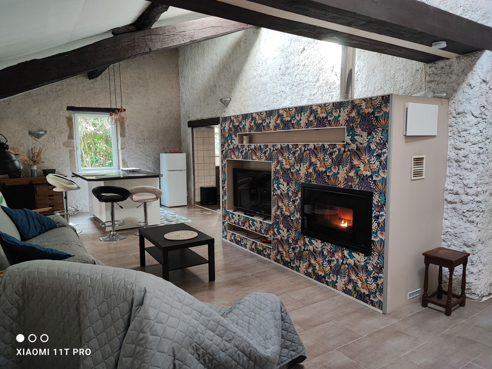 Ganzes Haus Ville-sur-Yron 206741