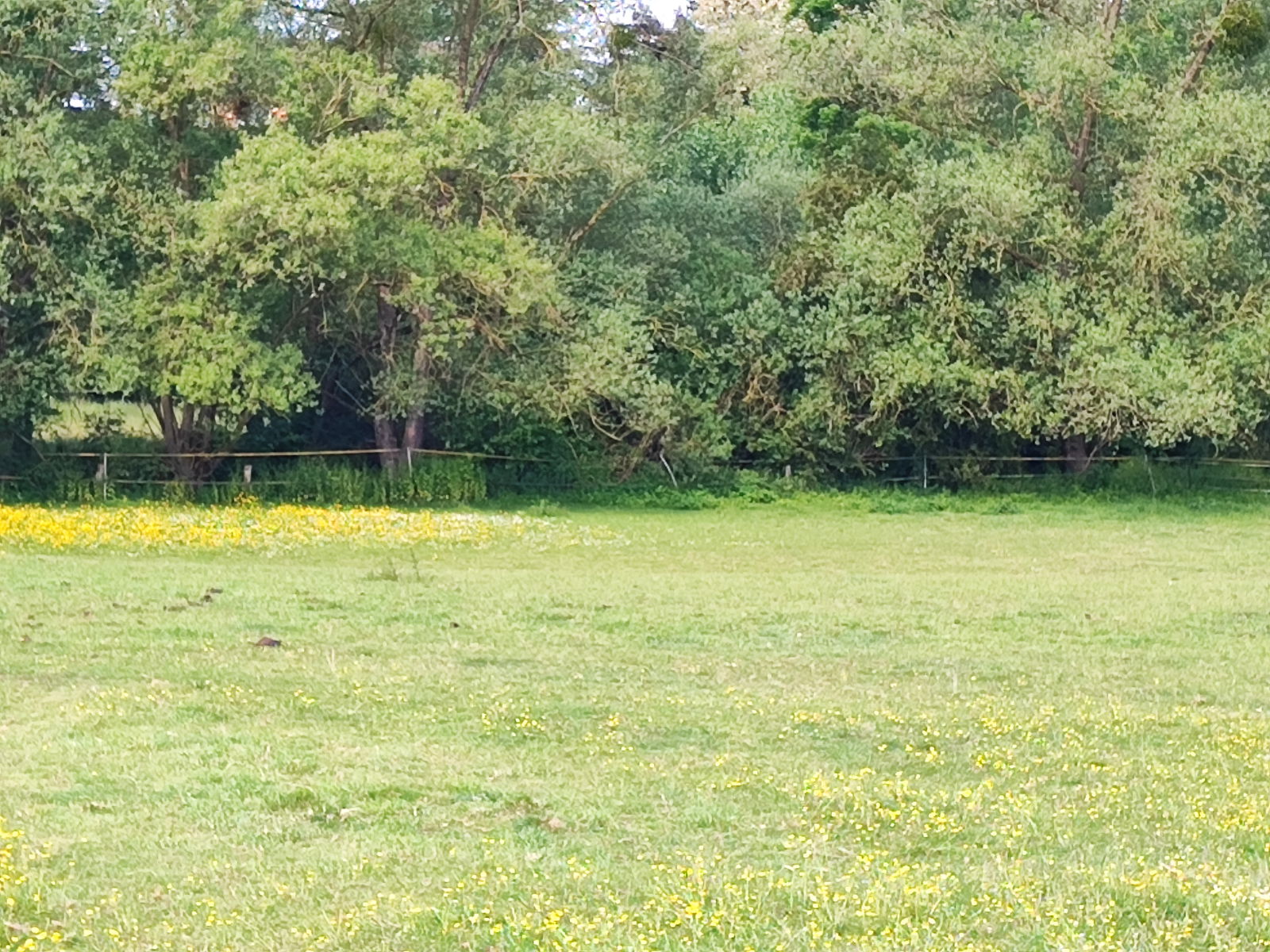 Hela Huset Ville-sur-Yron 206741