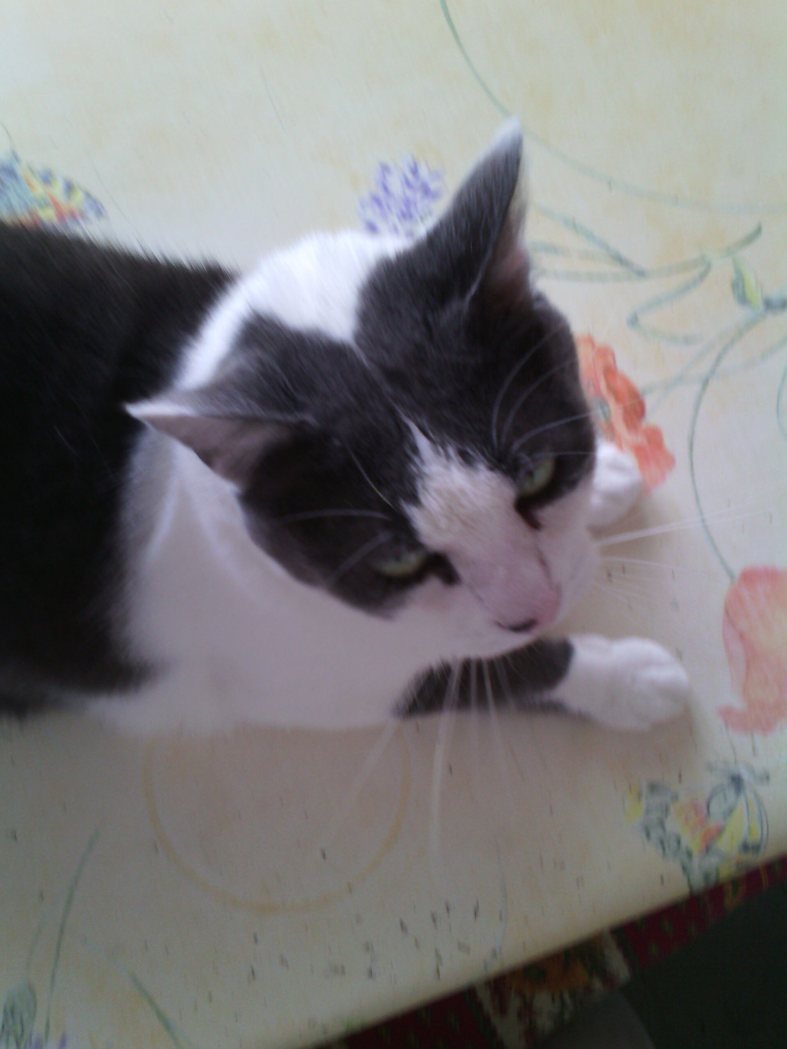 Tuisverblyf Reims 112222