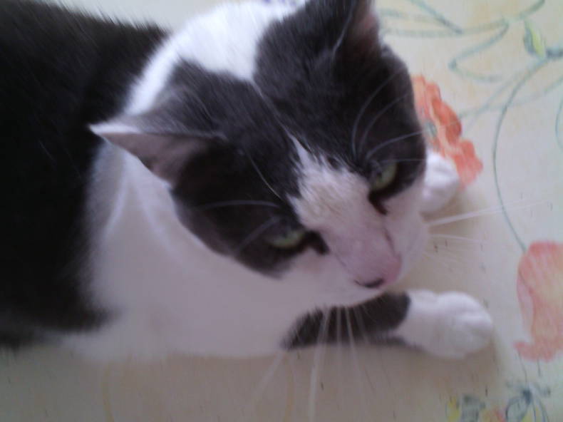 Quedarse En Casa Reims 112222-3