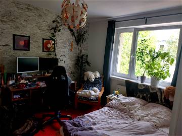 Roomlala | Rein Ins Berliner Leben
