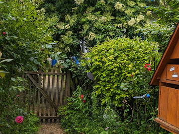 Chambre Chez L'habitant Courtételle 377973-12