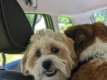 Chambre Chez L'habitant Courtételle 377973-13